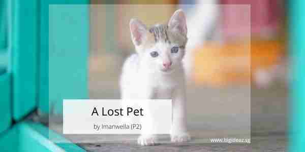 A Lost Pet composition