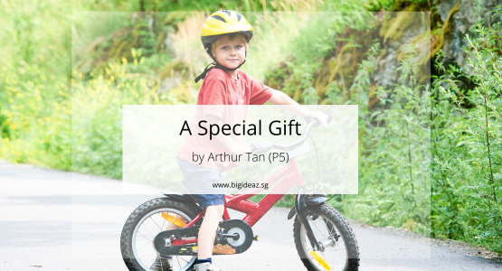 A Special Gift